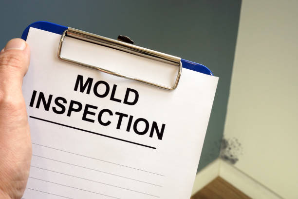 Best Biohazard Mold Removal  in Riverton, IL